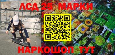 гашик Новозыбков