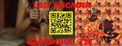 гашик Новозыбков