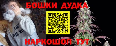 гашик Новозыбков