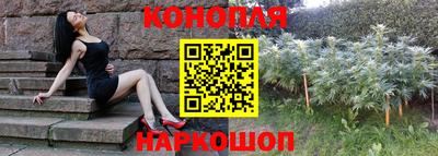 гашик Новозыбков