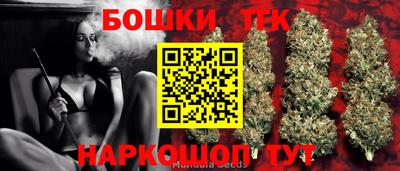 гашик Новозыбков