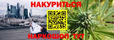 гашик Новозыбков