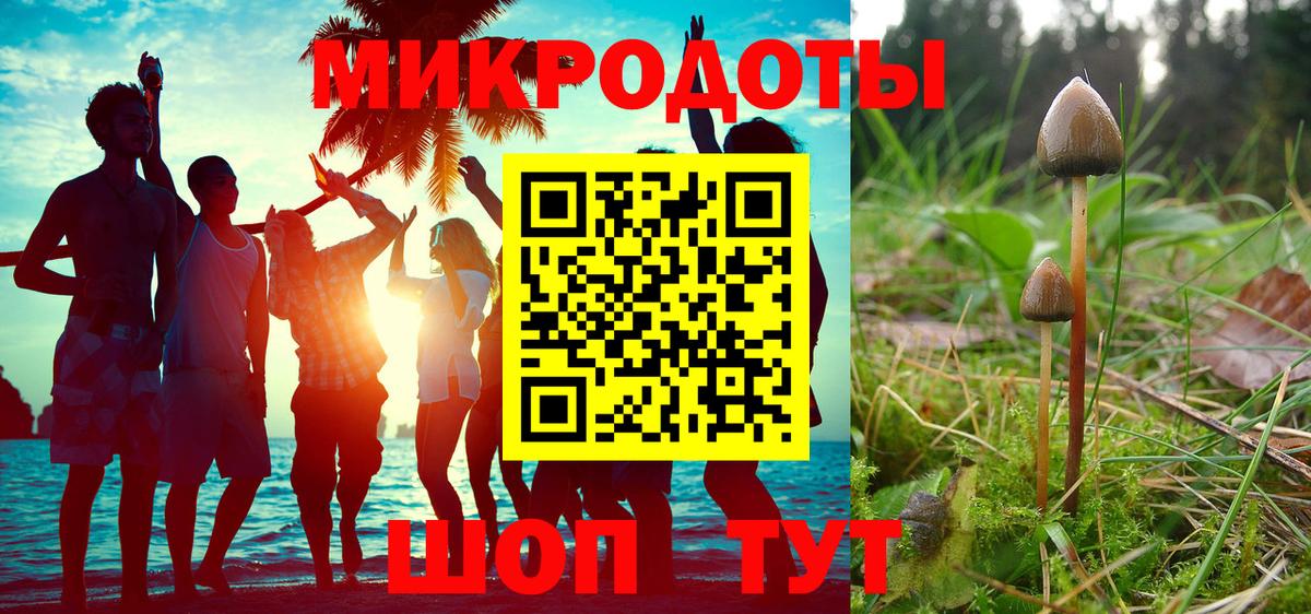 Псилоцибиновые грибы MAGIC MUSHROOMS Новодвинск