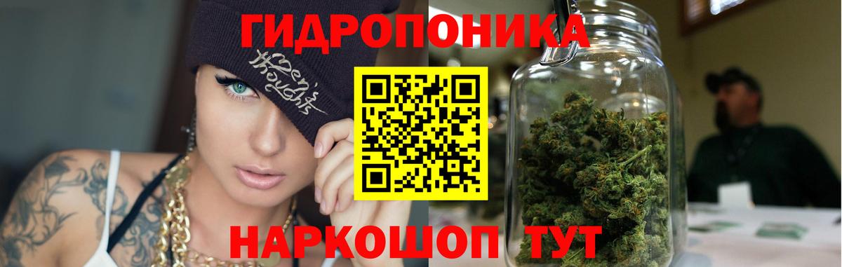 Каннабис White Widow  Вход с VPN  Марихуана гибрид  Шишки марихуана тримм  Шишки марихуана MAZAR  Новодвинск 